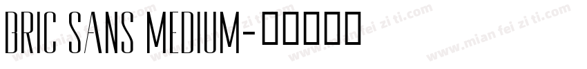 Bric Sans Medium字体转换